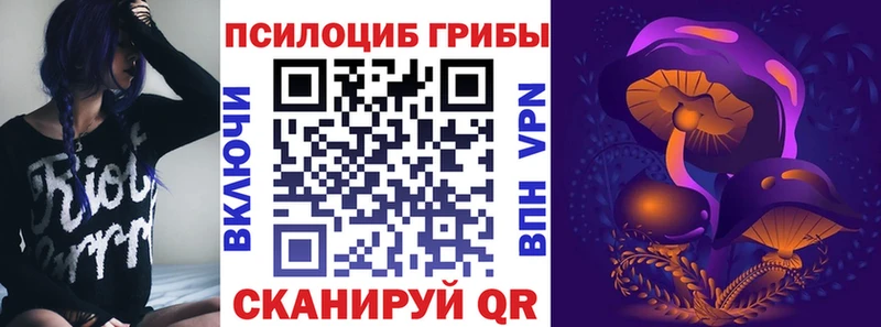 Псилоцибиновые грибы Cubensis  Бокситогорск 